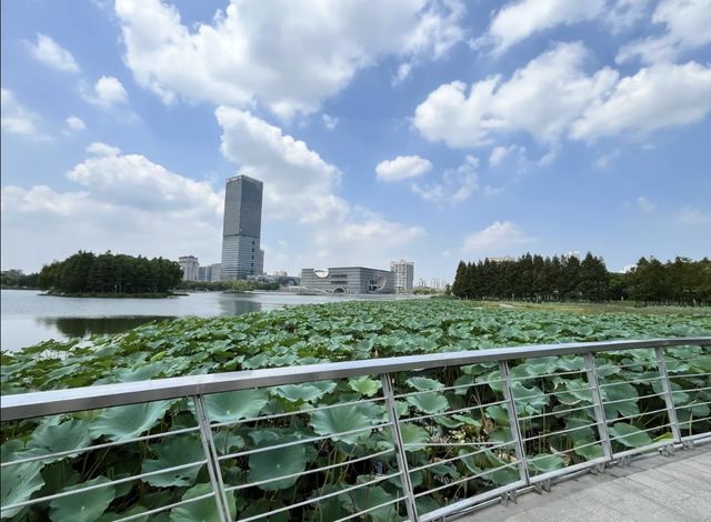 小眾景點遠香湖，建築藝術文藝滿滿