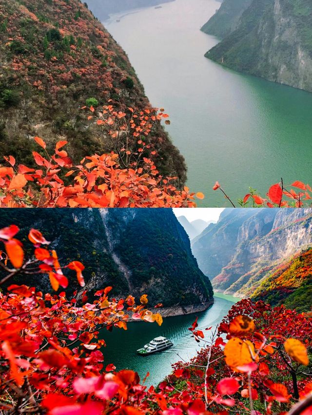 長江三峡的秋景,真的被嚴重低估了。