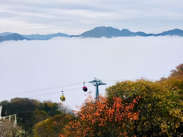 來漢中邂逅秋色|。