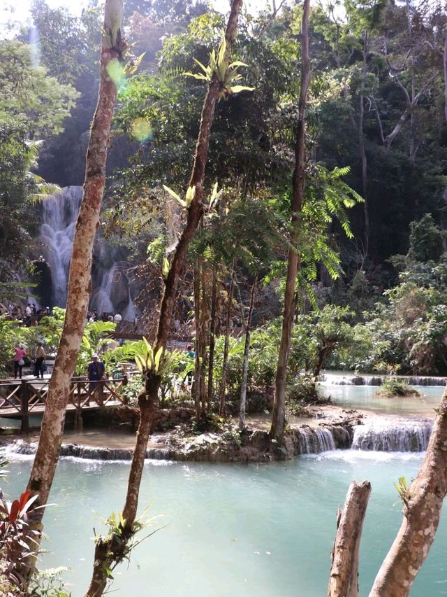 Kuangsi Waterfalls most adventurous experience❤️