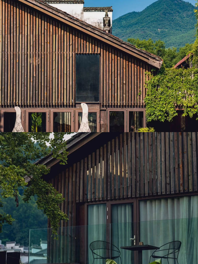 婺源｜住在山里太舒服了~