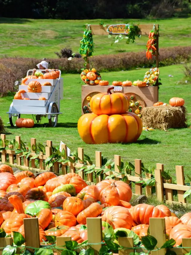 National Day? Spend a day here! The amusement park with the most pumpkins...
