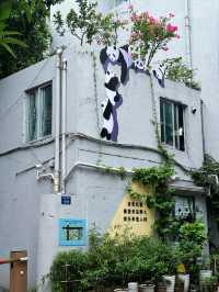 珠海原來也可以如此多巴胺。