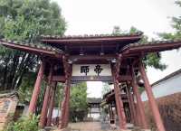 青田劉伯溫故里|看大明神算子的家是怎樣的。