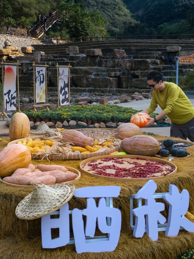 秋天就係要去登封遊覽郑州。