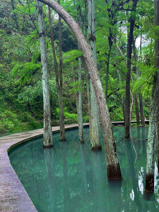 長沙 森林氧吧 大山沖森林公園 小九寨溝。