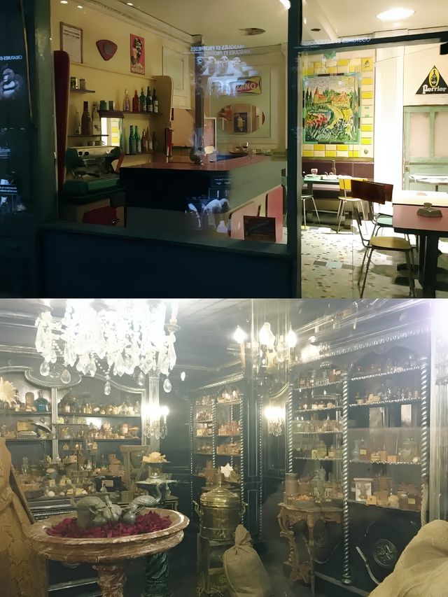 法國里昂國際微縮電影藝術博物館。