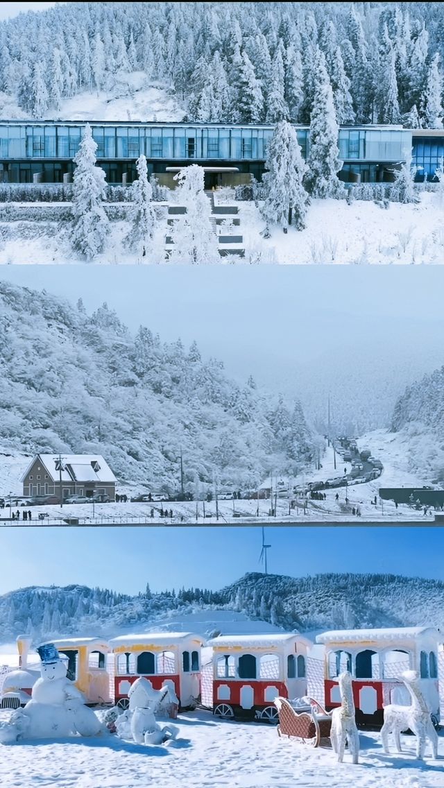 人生建議：跟家人去一趟南天湖景區。