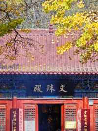 杭州|文殊寺|禪意盎然的靜謐之地。