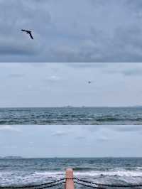煙台濱海廣場觀賞秋天的大海。