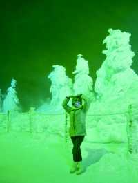 🇯🇵冷到掉耳朵｜搭纜車看冬夜的藏王樹冰❄️