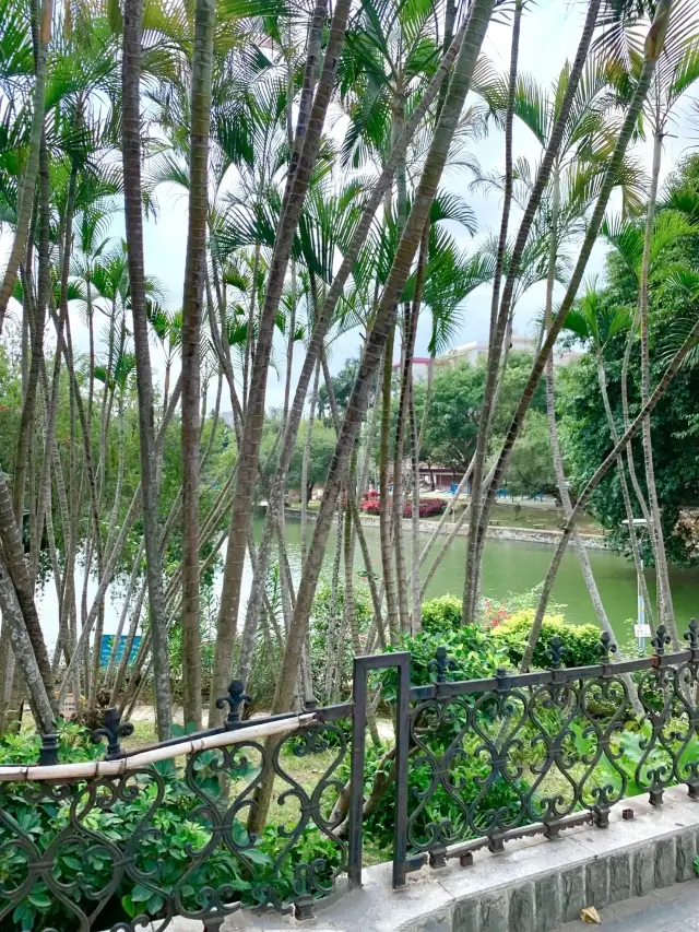 總得來一次湛江吧。