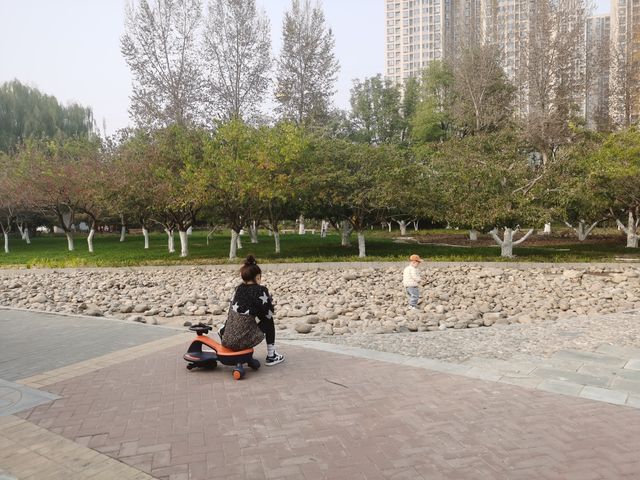 廊坊｜燕郊植物園。