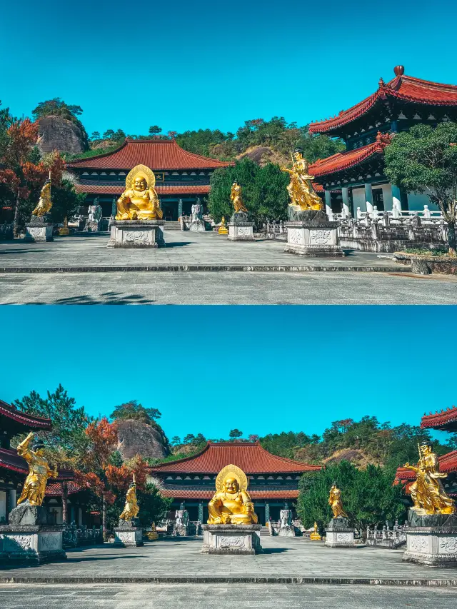 Wuyishan Tea Tasting: The Origin of Da Hong Pao | Tianxin Zen Temple. 