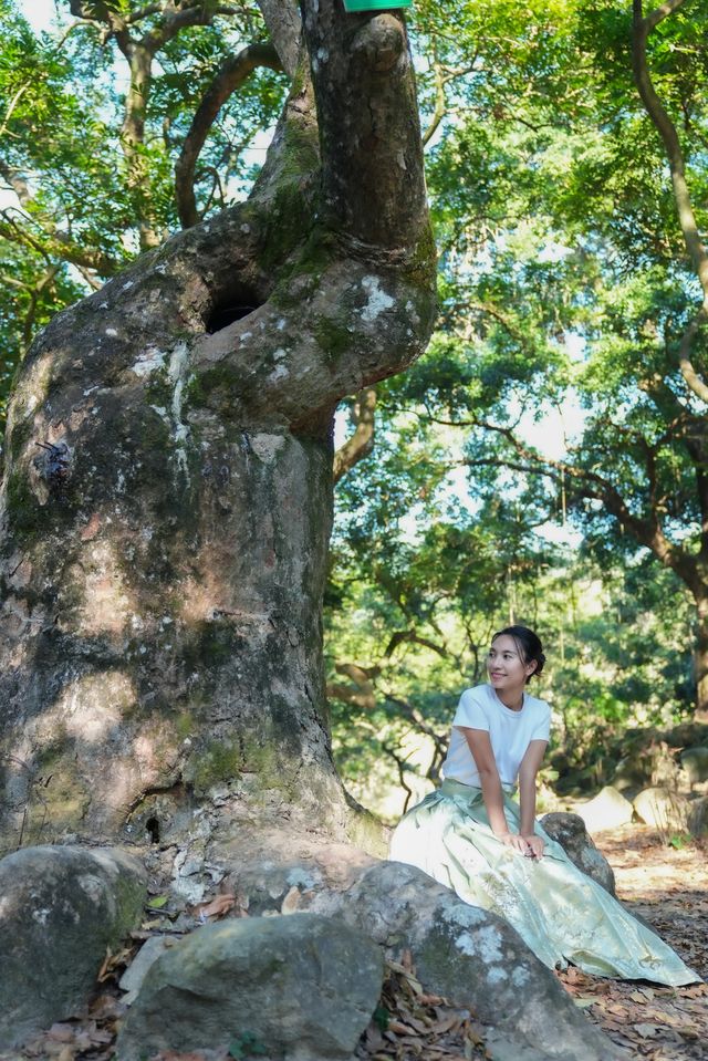 廣州1h直達丨現實版的「阿凡達」神秘仙境！。