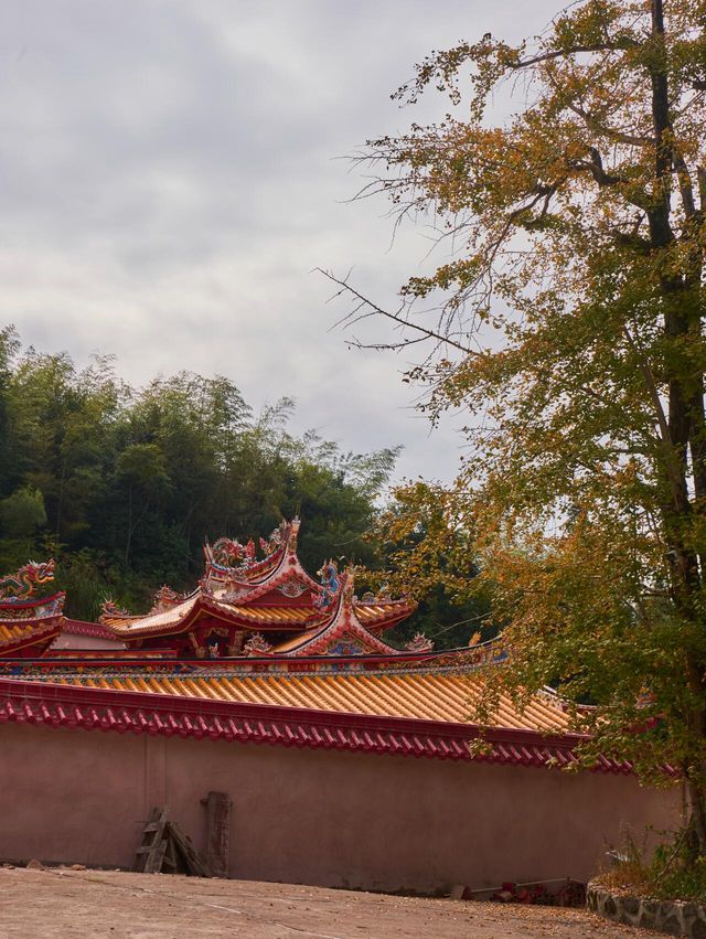 青樟山，坪田旅遊。