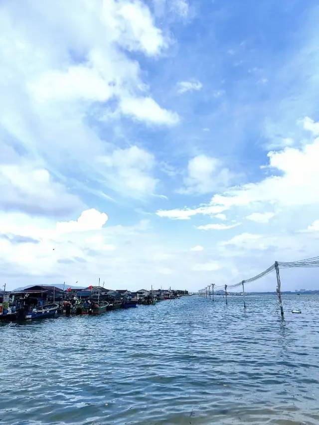 猴島|呆呆島一日遊。