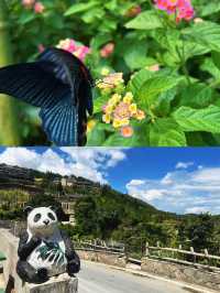 「廣東隱秘天堂：馬安竹海，避世之旅的最佳選擇」。