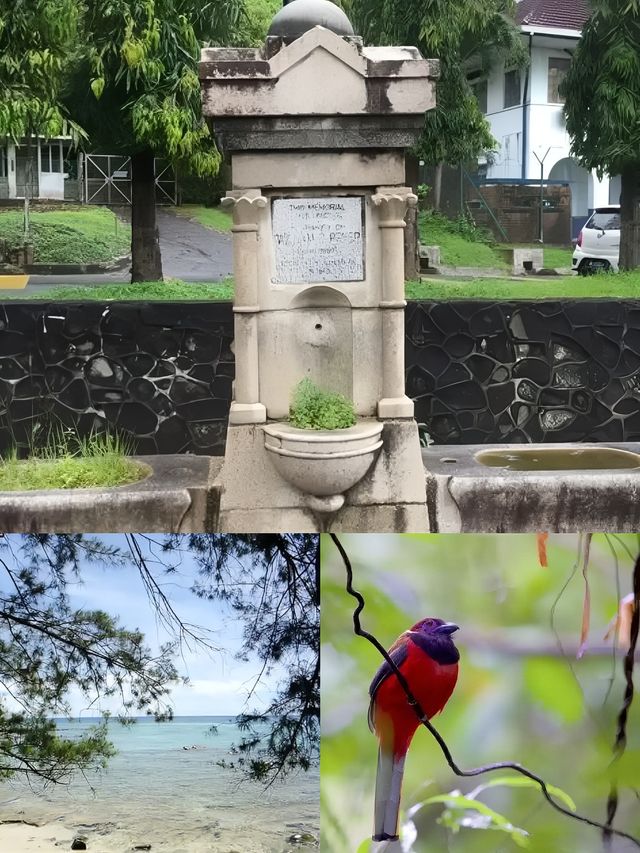 山打根兩日遊，玩轉沙巴的秘密花園！