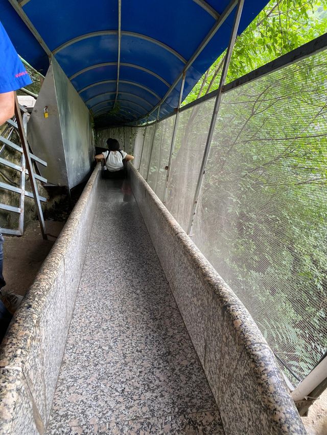 夏日避暑新去處｜商洛祚水溶洞。