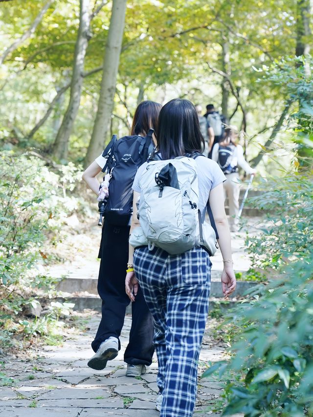 南京老山森林公園 | 親子秋遊寶藏地 。
