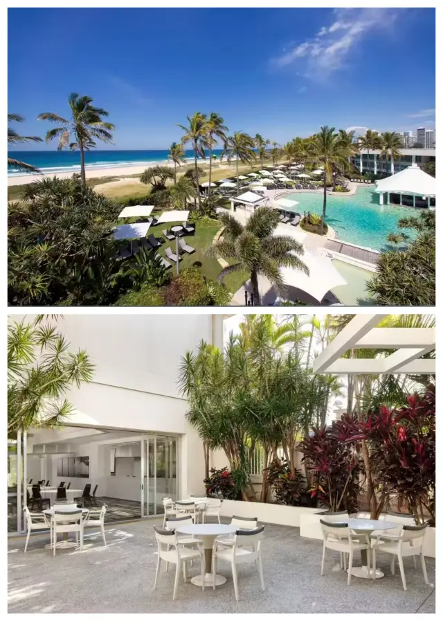 침이 꼴딱 넘어가네요! 브리즈번 골드코스트 맛집 편~~。