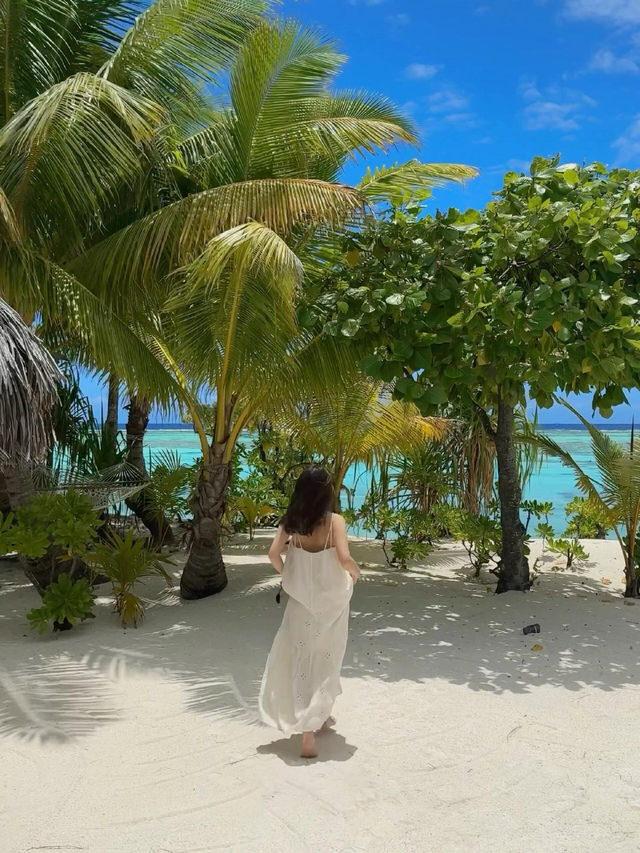 大溪地，海島日記海與你我都是自由的。