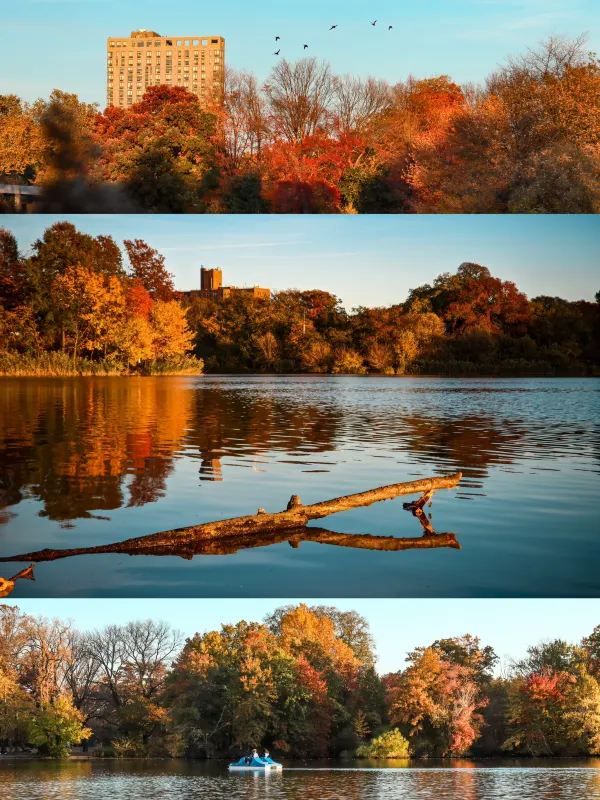 Experience the Golden Autumn at Prospect Park