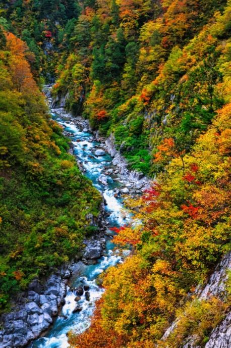 富山 | 日本北陸的魅力之城 。