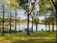 上海休閒的好地方顧村公園