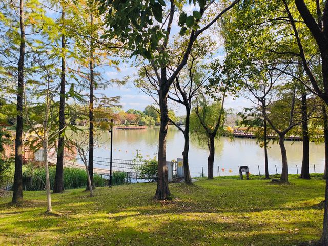 上海休閒的好地方顧村公園