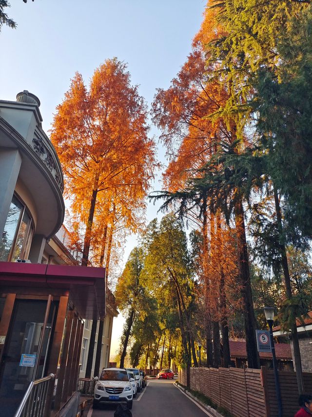 常寧宮—動力彩虹樂園，醉美日落，遛娃好去處！