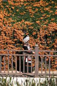 紅牆青瓦，小「色達」迤沙拉村太美了！