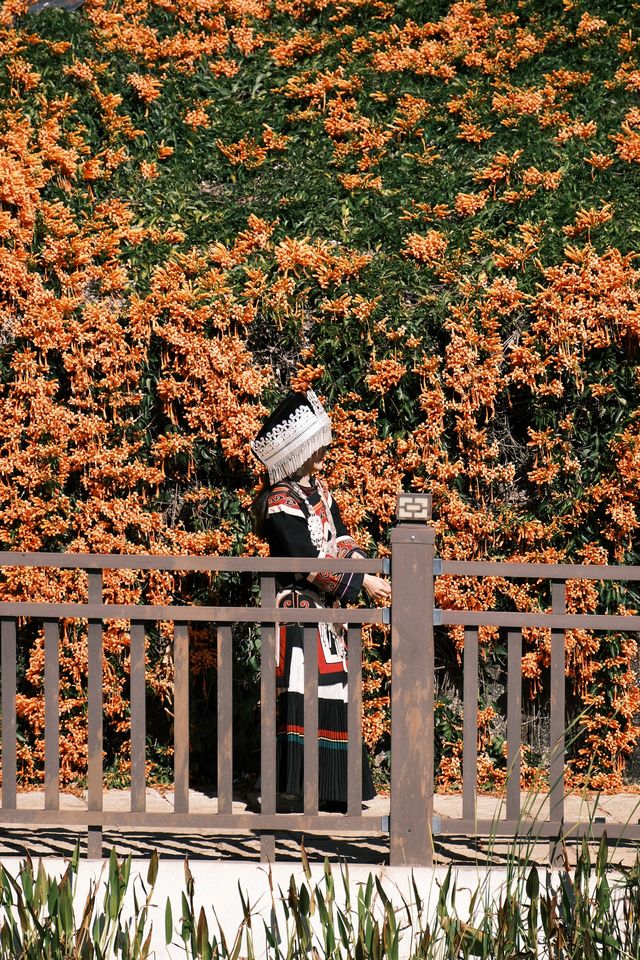 紅牆青瓦，小「色達」迤沙拉村太美了！