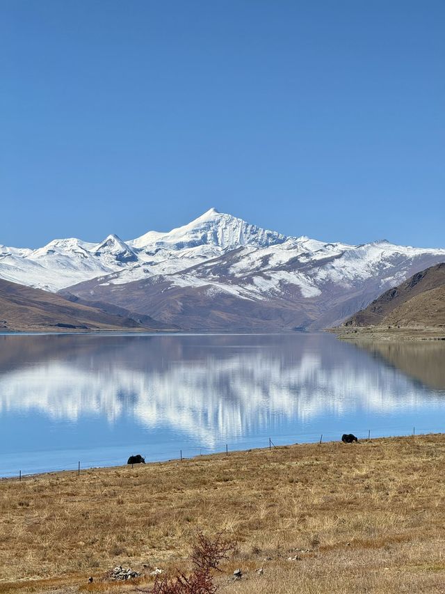 庫拉岡日雪山-白馬錯｜2天玩轉全攻略 不走冤枉路