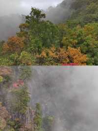 塔雲山/秦嶺第一仙山，天下最險道觀