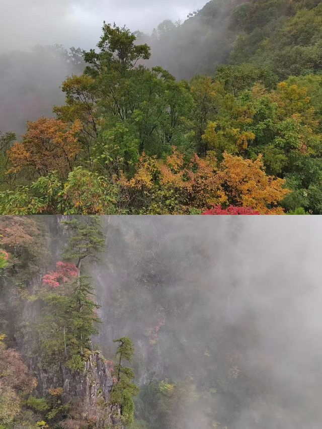 塔雲山/秦嶺第一仙山，天下最險道觀