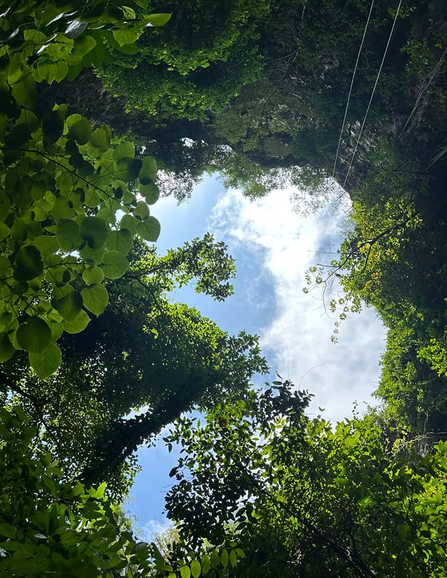 探索自然的秘密花園｜馬格朗市 Jomblang 洞穴的奇妙之旅