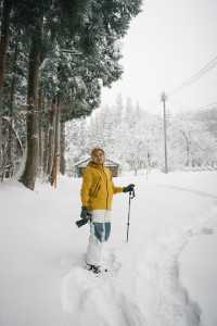 徒步林海雪原我又發現了一個日本秘境