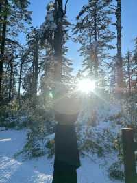 這個冬天，一起去瓦屋山看雪吧！