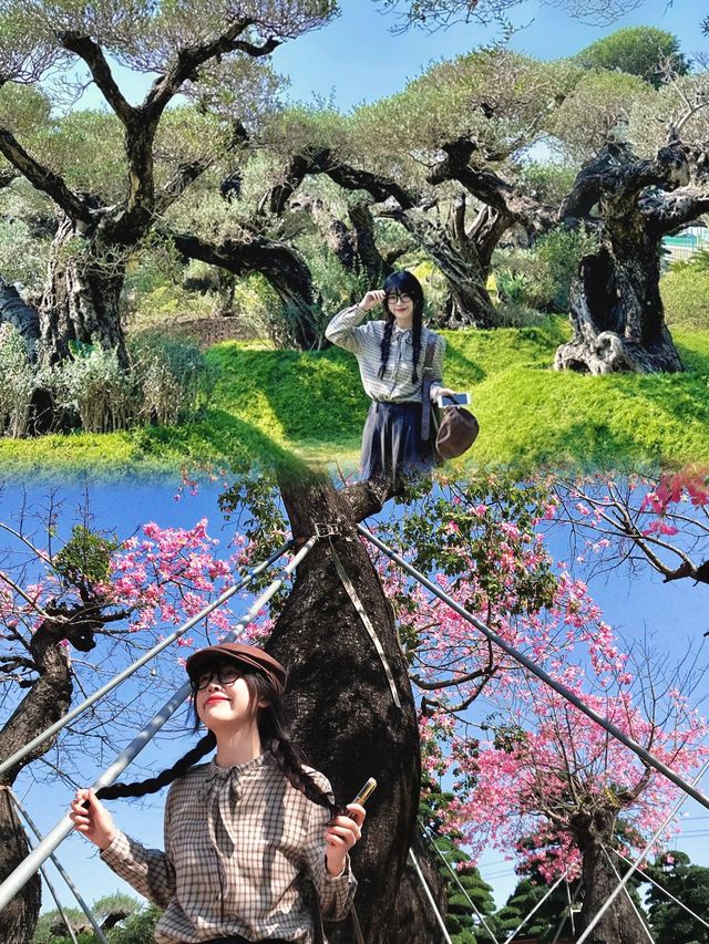 真不是Ai ！！佛山拍到奇幻森林