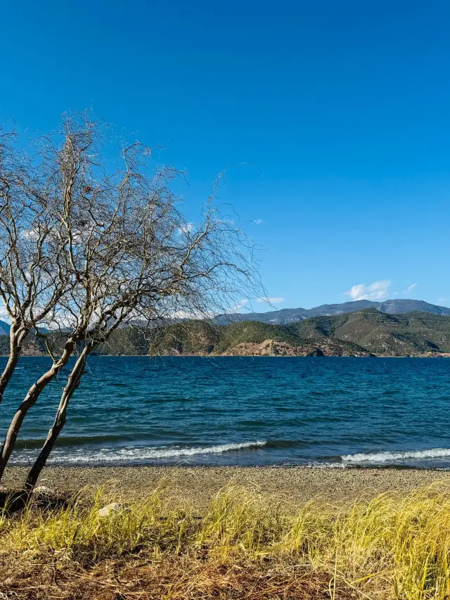 6-Day Lijiang-Dali-Lugu Lake Itinerary: A Detailed Guide to Help You Make the Most of Your Trip