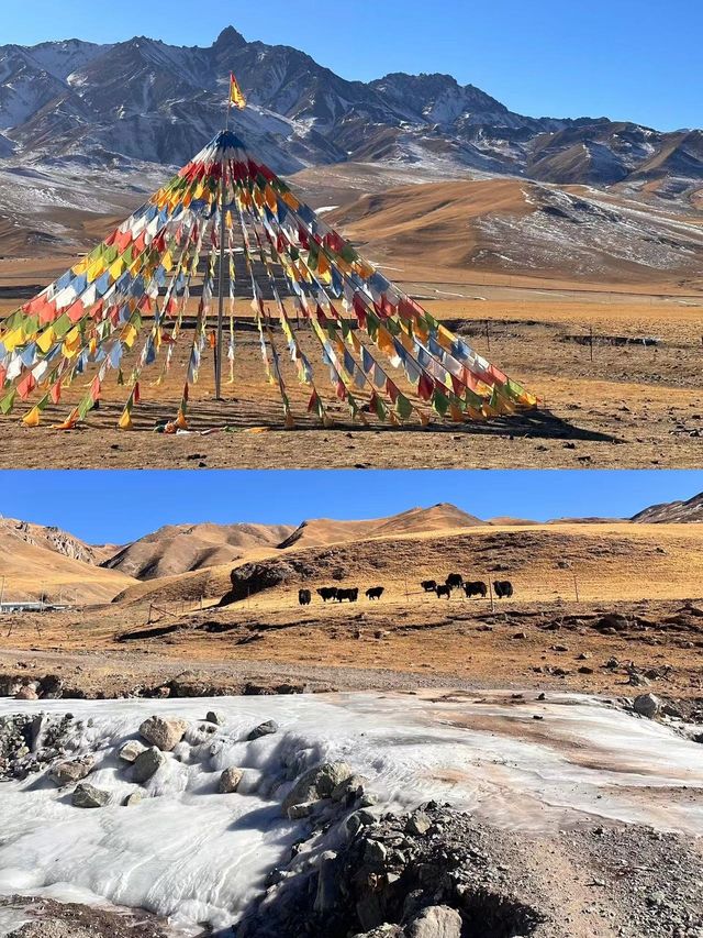 放棄三亞帶娃穿越河西走廊過春節，太值啦