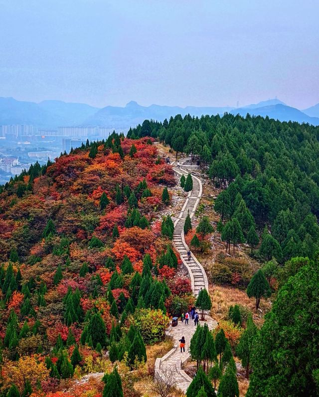 濟南蝎子山