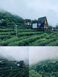齊雲谷民宿-旅途中的家