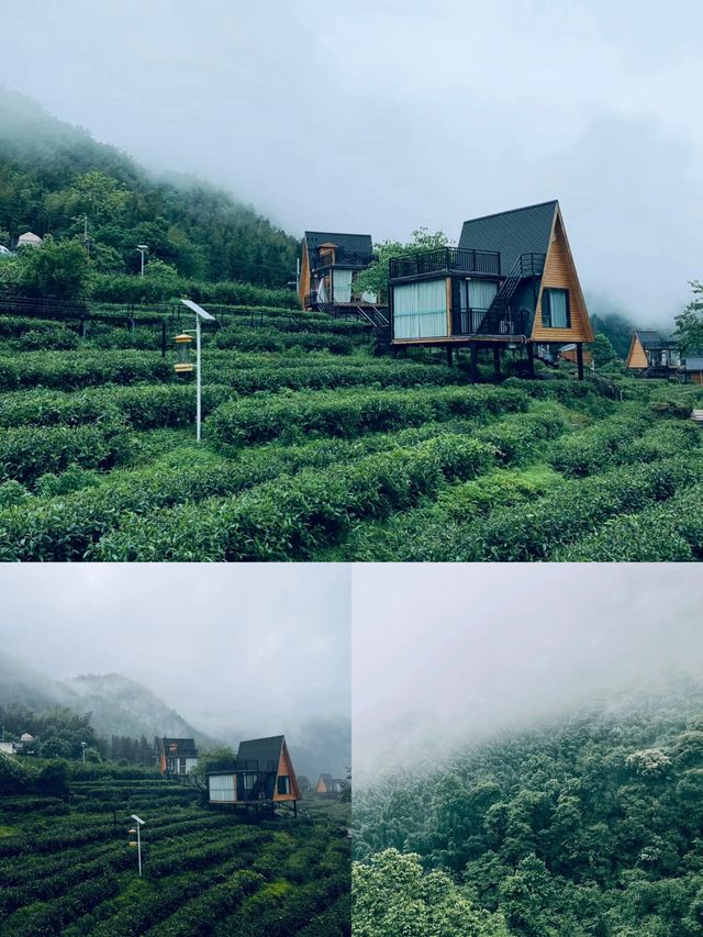 齊雲谷民宿-旅途中的家