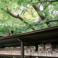東京今戶神社景點攻略🐱 招财猫發源地