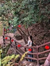 金蛇獻福，遊龍峽的花漾盛宴