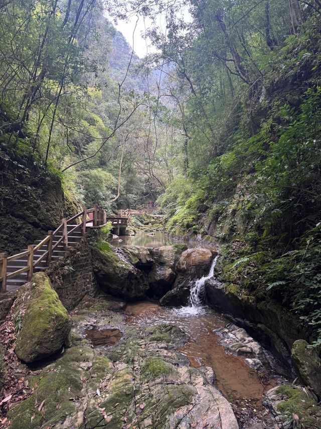 新年去黑山谷，感受濃濃年味的奇妙旅程!
