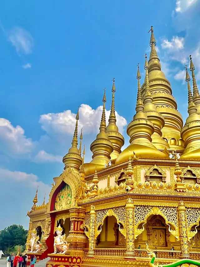 西雙版納6日遊玩轉熱帶雨林的秘笈